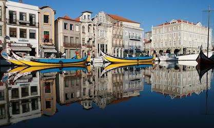 Aveiro half-day guided tour with boat tour